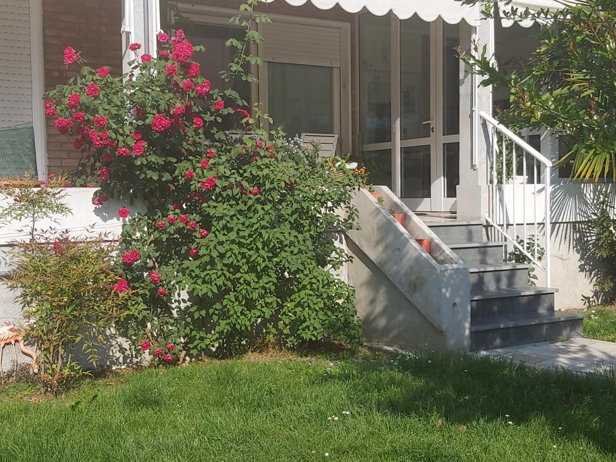 Banchette D'Ivrea Villa Silvia Olivetti מראה חיצוני תמונה